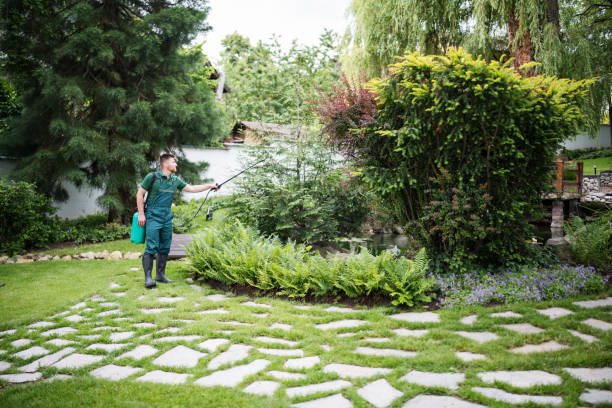 Best Mosquito Control Services  in Sonoma State University, CA