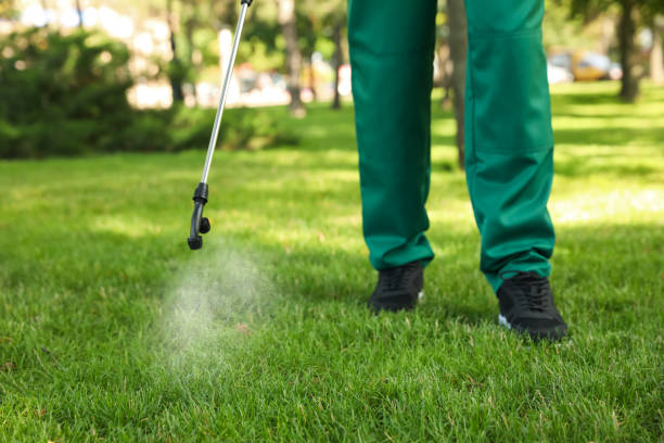 Best Cockroach Control Services  in Sonoma State University, CA