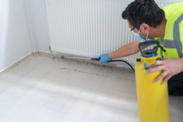 Best Pest Prevention Services  in Sonoma State University, CA