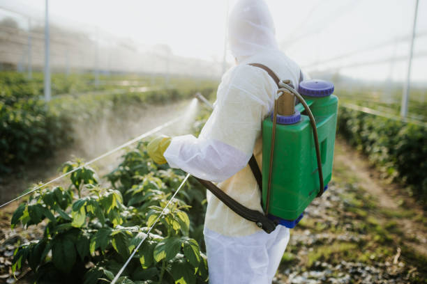Best Exterminator Services  in Sonoma State University, CA